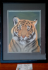 2024 bengal tiger terry hodges