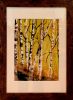 2024 silver birches wilma forster